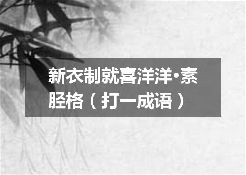 新衣制就喜洋洋·素胫格（打一成语）