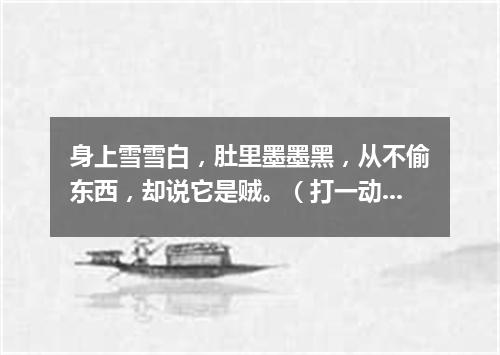 身上雪雪白，肚里墨墨黑，从不偷东西，却说它是贼。（打一动物）