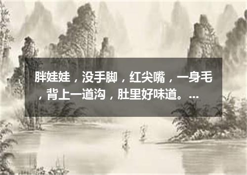 胖娃娃，没手脚，红尖嘴，一身毛，背上一道沟，肚里好味道。（打一水果）