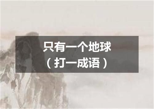 只有一个地球（打一成语）