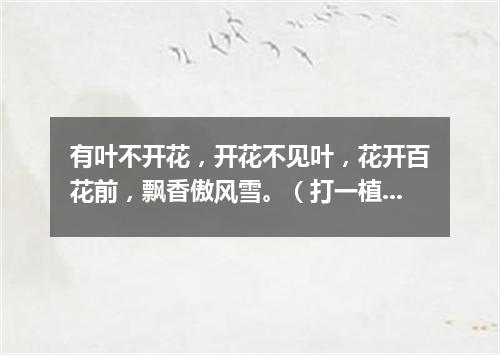 有叶不开花，开花不见叶，花开百花前，飘香傲风雪。（打一植物）
