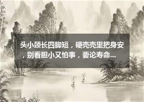 头小颈长四脚短，硬壳壳里把身安，别看胆小又怕事，要论寿命大无边。（打一动物）