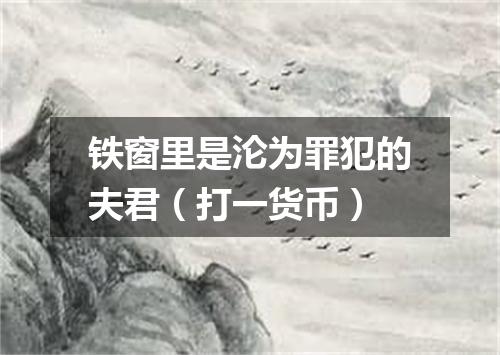 铁窗里是沦为罪犯的夫君（打一货币）