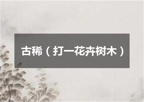 古稀（打一花卉树木）