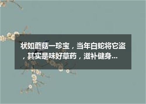 状如蘑菇一珍宝，当年白蛇将它盗，其实是味好草药，滋补健身价值高。（打一植物）