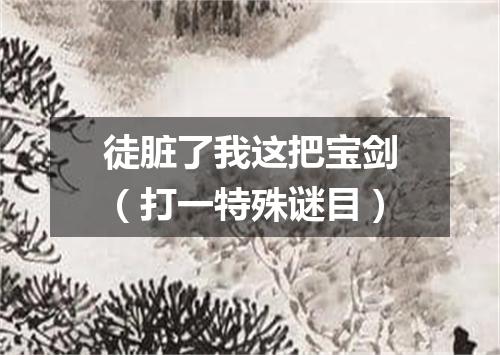 徒脏了我这把宝剑（打一特殊谜目）