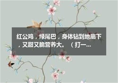 红公鸡，绿尾巴，身体钻到地底下，又甜又脆营养大。 （打一蔬菜）
