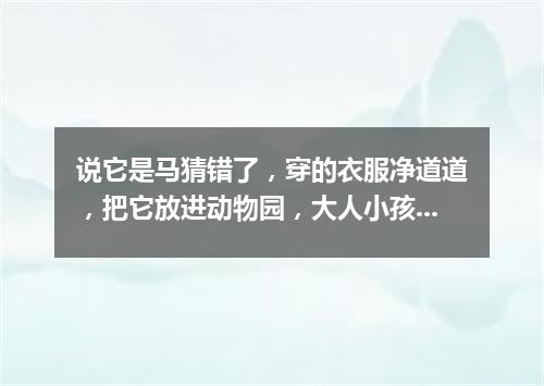 说它是马猜错了，穿的衣服净道道，把它放进动物园，大人小孩都爱瞧。（打一动物）