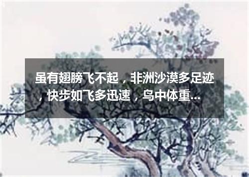 虽有翅膀飞不起，非洲沙漠多足迹，快步如飞多迅速，鸟中体重它第一。（打一动物）