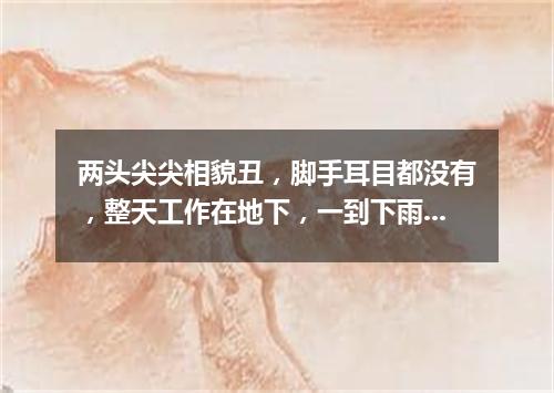 两头尖尖相貌丑，脚手耳目都没有，整天工作在地下，一到下雨才露头。（打一动物）