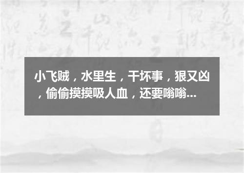 小飞贼，水里生，干坏事，狠又凶，偷偷摸摸吸人血，还要嗡嗡叫几声。（打一动物）