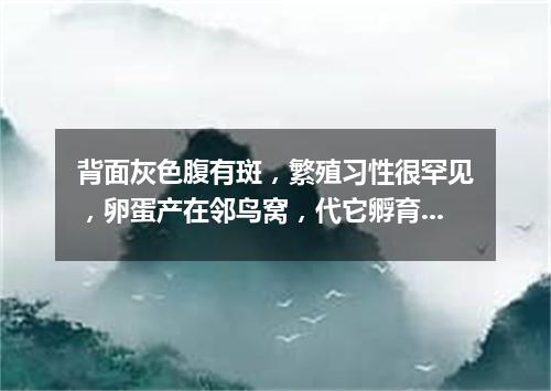 背面灰色腹有斑，繁殖习性很罕见，卵蛋产在邻鸟窝，代它孵育自消遣。（打一动物）