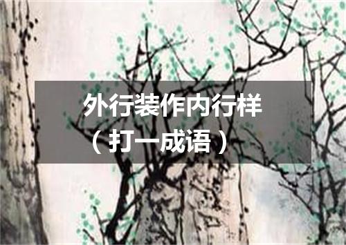 外行装作内行样（打一成语）