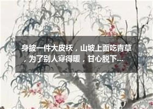 身披一件大皮袄，山坡上面吃青草，为了别人穿得暖，甘心脱下自己毛。（打一动物）
