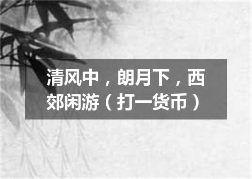 清风中，朗月下，西郊闲游（打一货币）