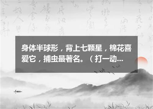 身体半球形，背上七颗星，棉花喜爱它，捕虫最著名。（打一动物）