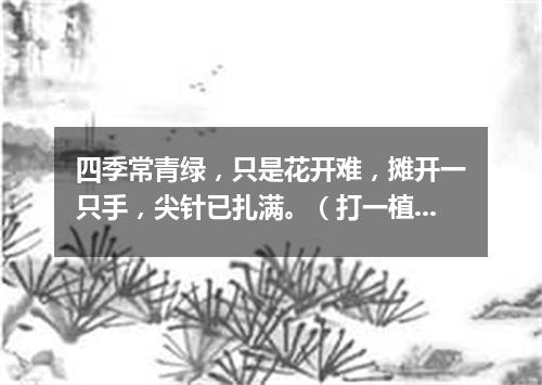 四季常青绿，只是花开难，摊开一只手，尖针已扎满。（打一植物）