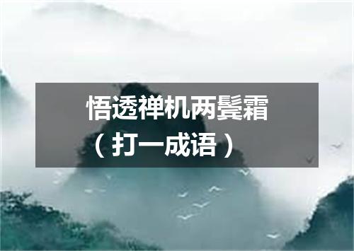 悟透禅机两鬓霜（打一成语）