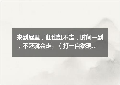 来到屋里，赶也赶不走，时间一到，不赶就会走。（打一自然现象）