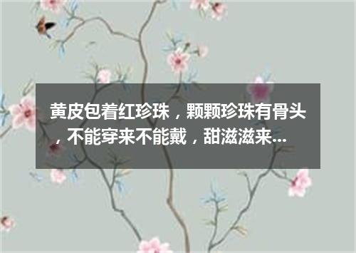 黄皮包着红珍珠，颗颗珍珠有骨头，不能穿来不能戴，甜滋滋来酸溜溜。（打一水果）