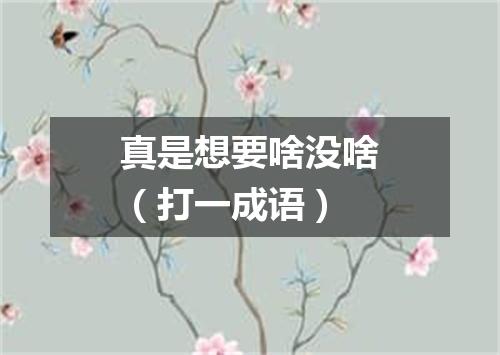 真是想要啥没啥（打一成语）