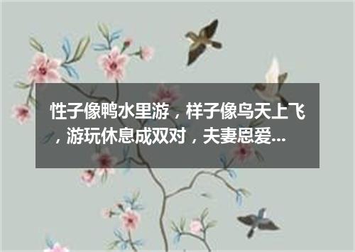 性子像鸭水里游，样子像鸟天上飞，游玩休息成双对，夫妻恩爱永不离。（打一动物）
