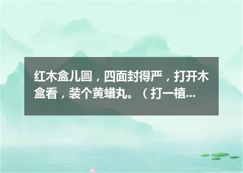 红木盒儿圆，四面封得严，打开木盒看，装个黄蜡丸。（打一植物）