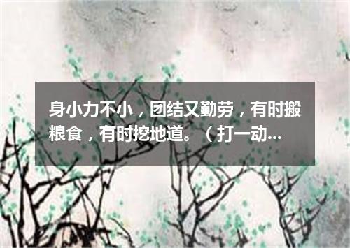身小力不小，团结又勤劳，有时搬粮食，有时挖地道。（打一动物）
