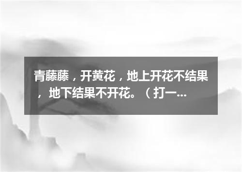 青藤藤，开黄花，地上开花不结果， 地下结果不开花。（打一植物）