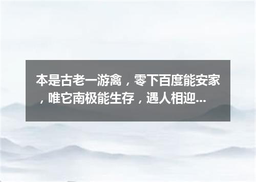 本是古老一游禽，零下百度能安家，唯它南极能生存，遇人相迎不害怕。（打一动物）