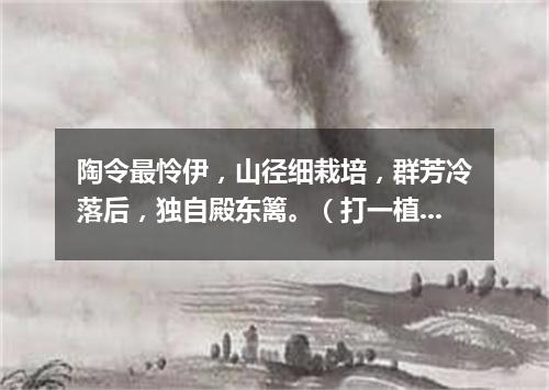 陶令最怜伊，山径细栽培，群芳冷落后，独自殿东篱。（打一植物）