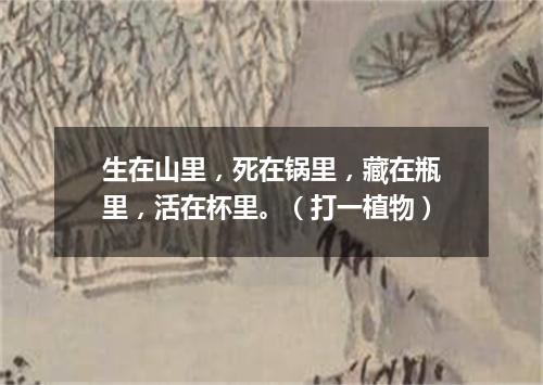 生在山里，死在锅里，藏在瓶里，活在杯里。（打一植物）