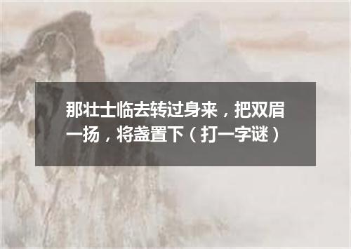 那壮士临去转过身来，把双眉一扬，将盏置下（打一字谜）