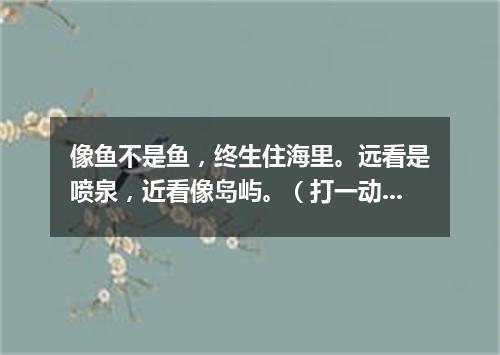 像鱼不是鱼，终生住海里。远看是喷泉，近看像岛屿。（打一动物）