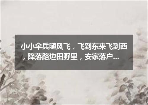 小小伞兵随风飞，飞到东来飞到西，降落路边田野里，安家落户扎根基。（打一植物）
