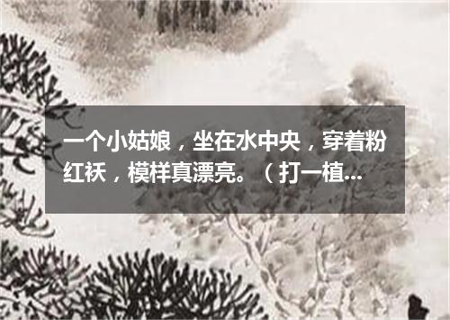 一个小姑娘，坐在水中央，穿着粉红袄，模样真漂亮。（打一植物）