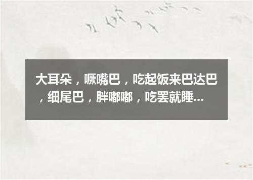 大耳朵，噘嘴巴，吃起饭来巴达巴，细尾巴，胖嘟嘟，吃罢就睡呼噜噜。（打一动物）