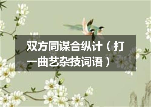 双方同谋合纵计（打一曲艺杂技词语）