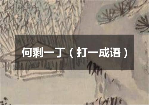 何剩一丁（打一成语）