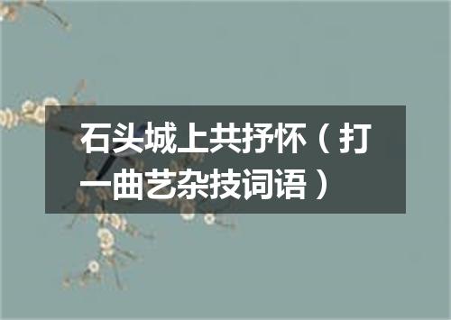 石头城上共抒怀（打一曲艺杂技词语）
