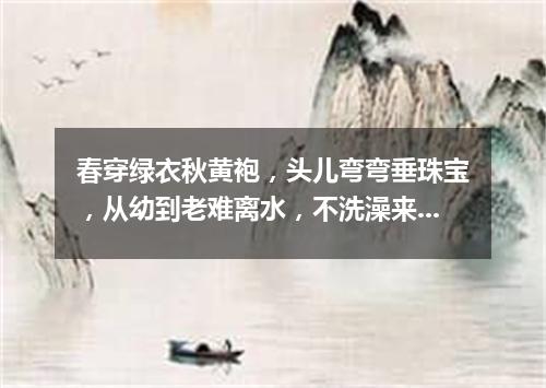 春穿绿衣秋黄袍，头儿弯弯垂珠宝，从幼到老难离水，不洗澡来只泡脚。（打一植物）