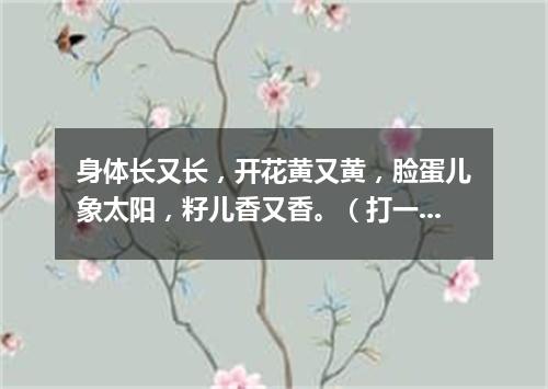 身体长又长，开花黄又黄，脸蛋儿象太阳，籽儿香又香。（打一植物）