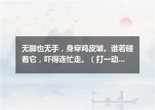 无脚也无手，身穿鸡皮皱。谁若碰着它，吓得连忙走。（打一动物）