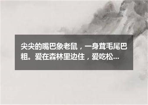 尖尖的嘴巴象老鼠，一身茸毛尾巴粗。爱在森林里边住，爱吃松子爱上树。（打一动物）