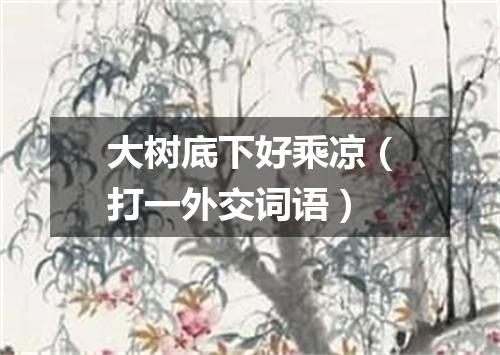 大树底下好乘凉（打一外交词语）