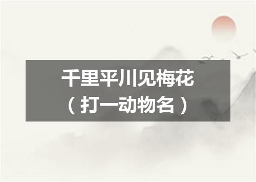 千里平川见梅花（打一动物名）