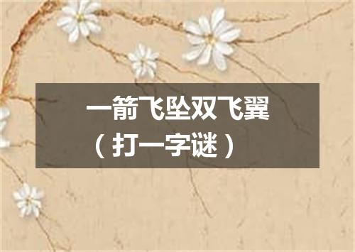 一箭飞坠双飞翼（打一字谜）