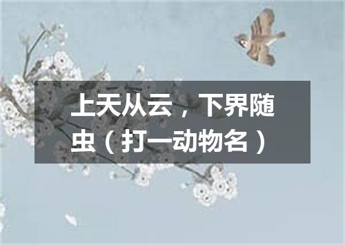 上天从云，下界随虫（打一动物名）