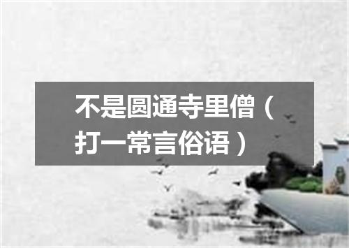 不是圆通寺里僧（打一常言俗语）