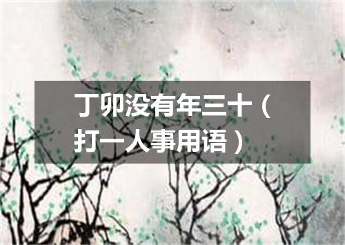 丁卯没有年三十（打一人事用语）